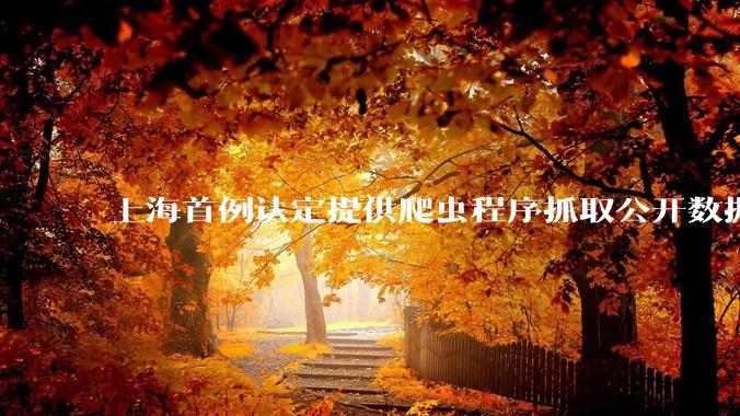 上海首例认定提供爬虫程序抓取公开数据构成提供侵入计算机信息系统程序罪案，该案件有哪些细节值得关注？